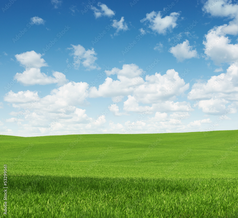 Rural landscape, empty green field with copy space