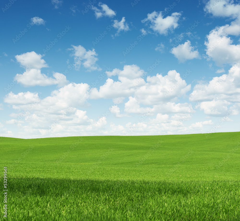 Rural landscape, empty green field with copy space Rural landscape, empty green field with copy space