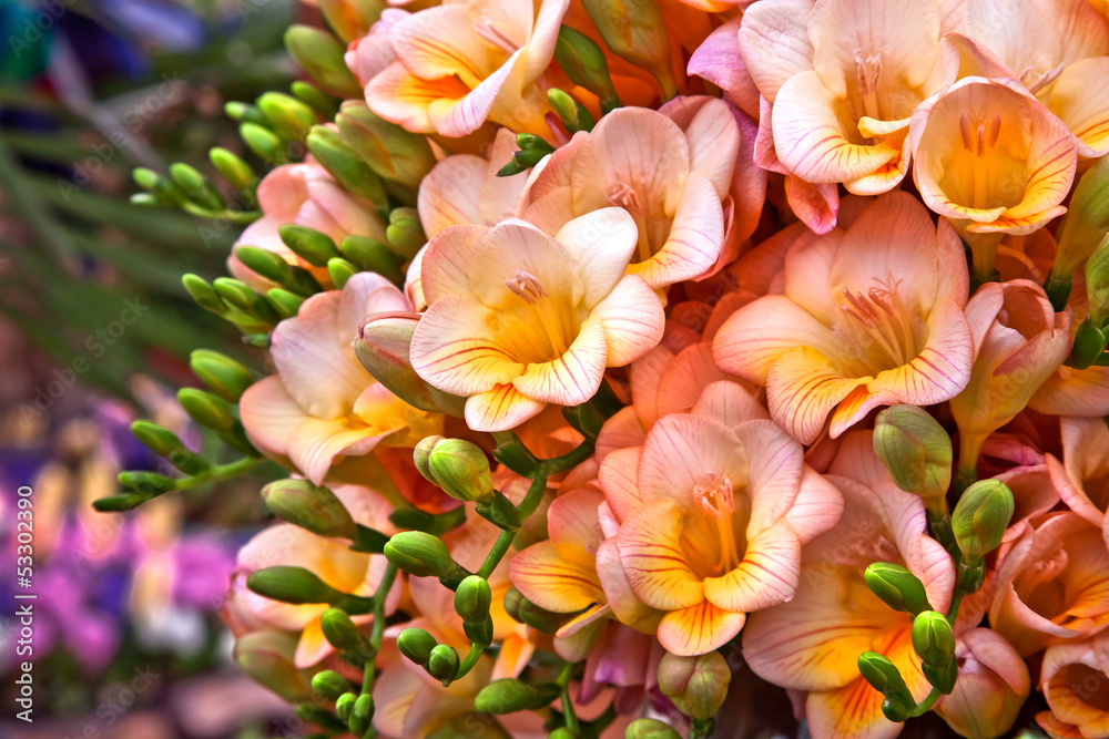Bouquet of yellow and pink flowers.