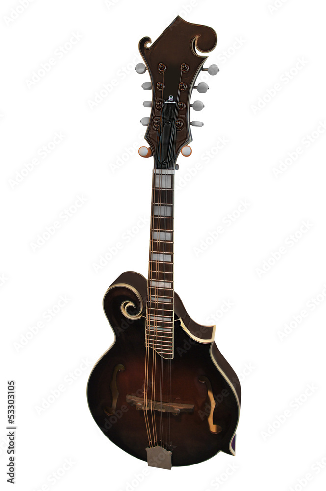 Obraz premium mandolin