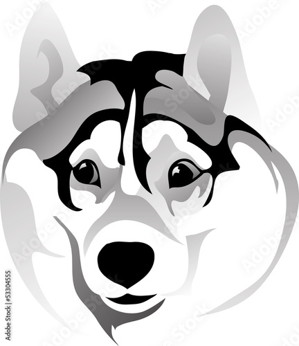 muzzle surprised dog vector drawing