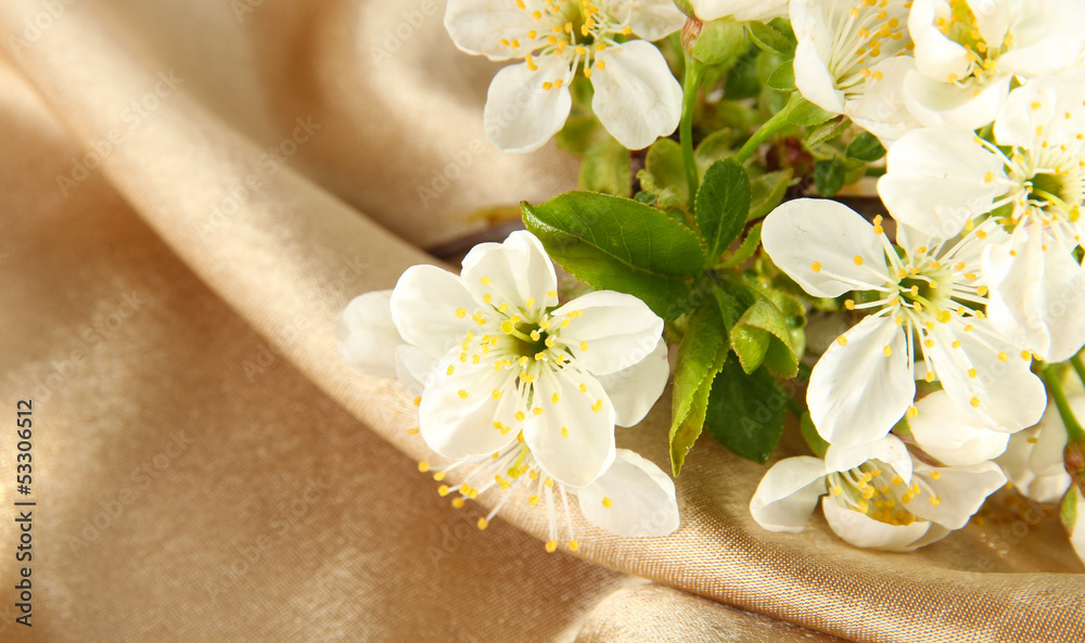 Flowering branches in glass banks on beige fabric background Flowering branches in glass banks on beige fabric background