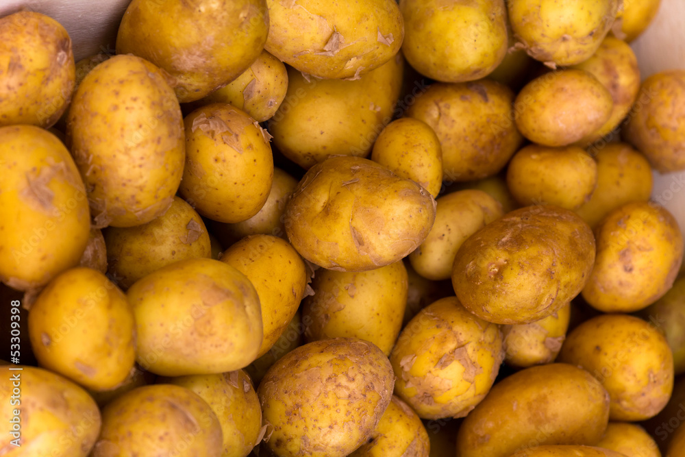 Frühkartoffeln Frühkartoffeln