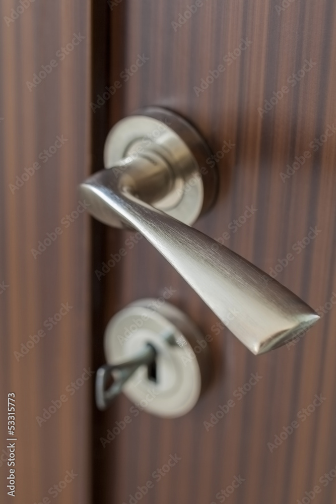 Obraz premium decorative metal door handle