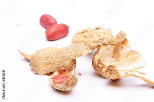 peanuts peel isolated on white background
