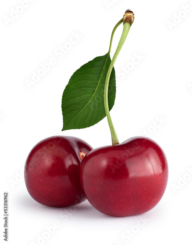 Cherries with the leaf isolated on white. Clipping path