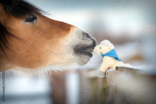 Horse and toy horse in winter, kiss.