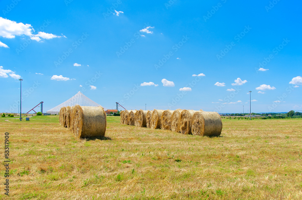 Hay bales, Roman Countryside, Italy