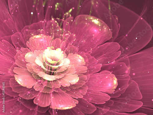 purple fractal flower
