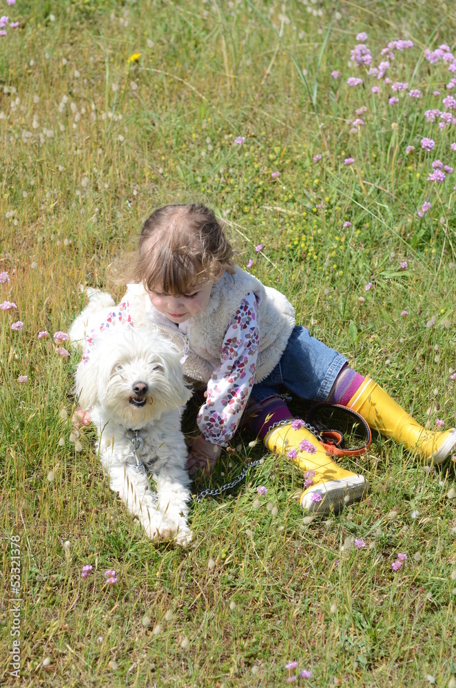 calin pour le chien calin pour le chien