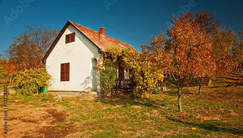 Fototapeta Naklejka Na Ścianę i Meble -  Rural house in autumn