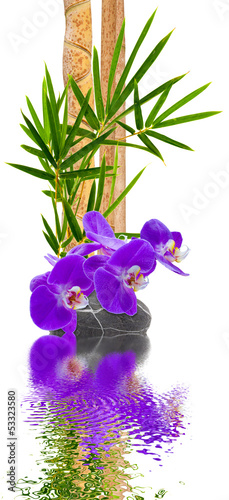 Fototapeta Naklejka Na Ścianę i Meble -  composition zen, orchidée sur galet et bambou