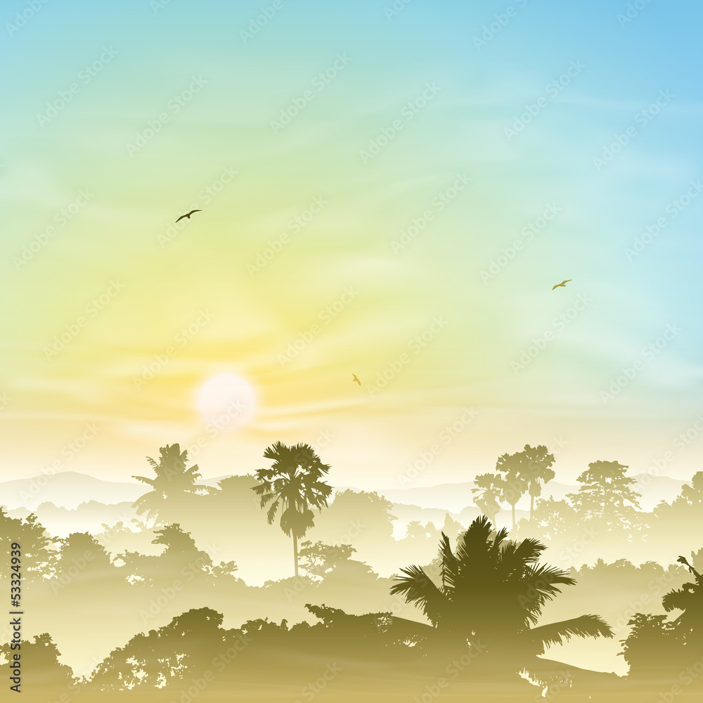 Obraz premium A Misty Landscape with Palm Trees and Sunset, Sunrise
