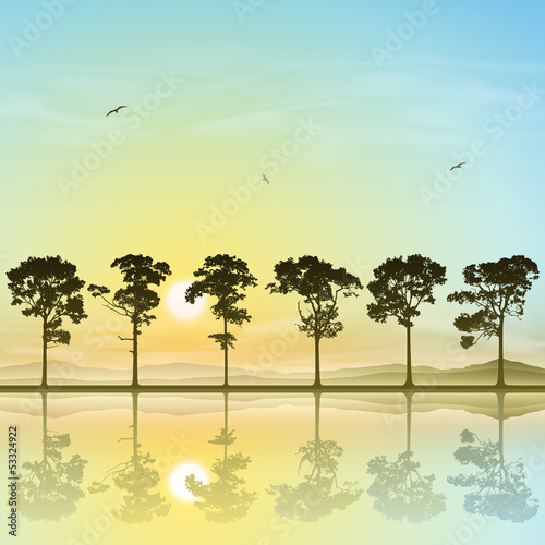 A Line of Trees in Silhouette with Sunset  Sunrise