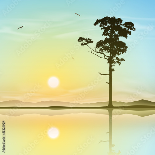 A Single Tree Standing Alone with Reflection in Water