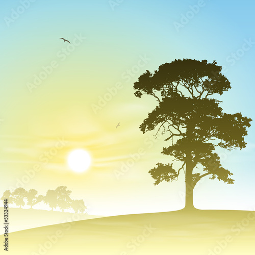 A Country Meadow Landscape with Trees and Sunset, Sunrise
