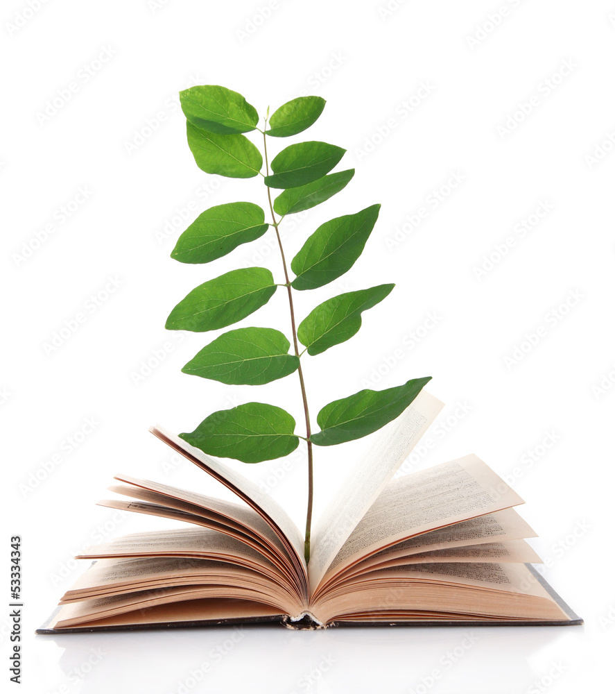 Book with plant isolated on white Book with plant isolated on white