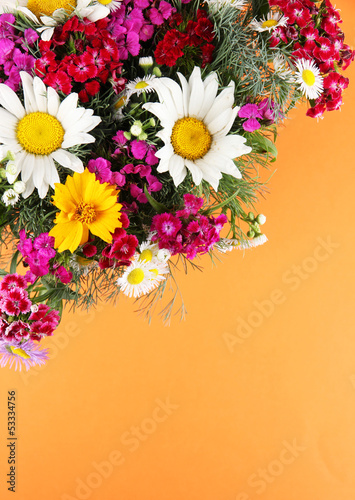 Fototapeta Naklejka Na Ścianę i Meble -  Beautiful bright flowers on orange background