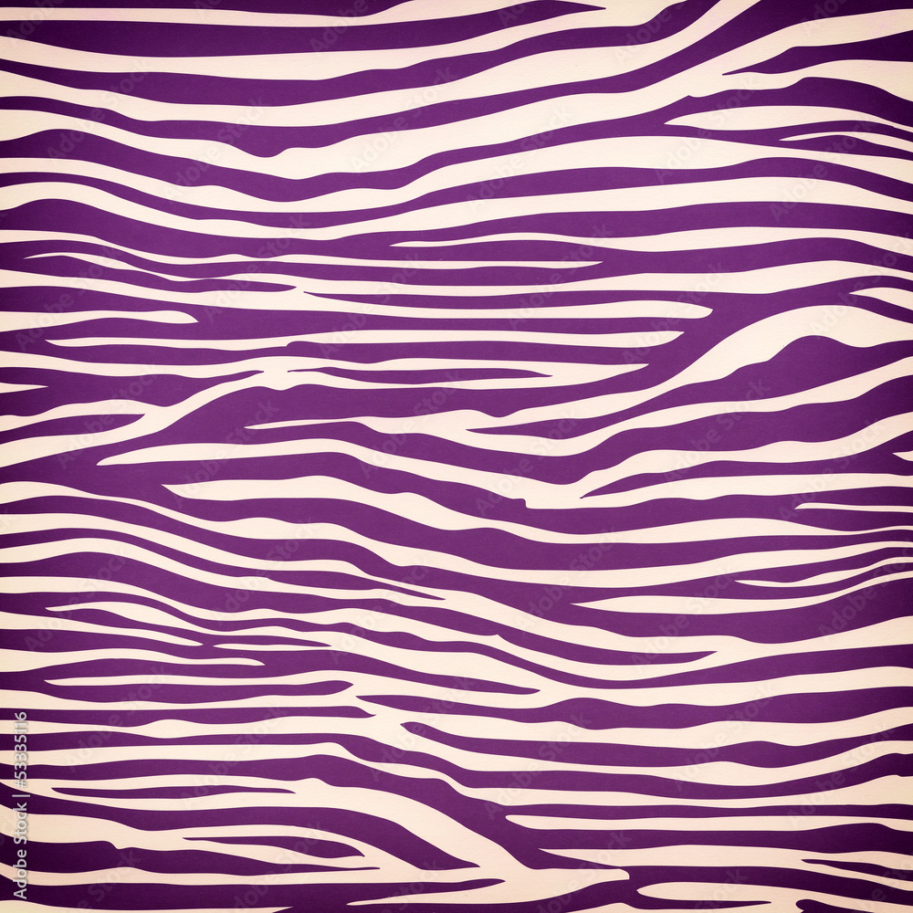 Zebra seamless pattern Zebra seamless pattern