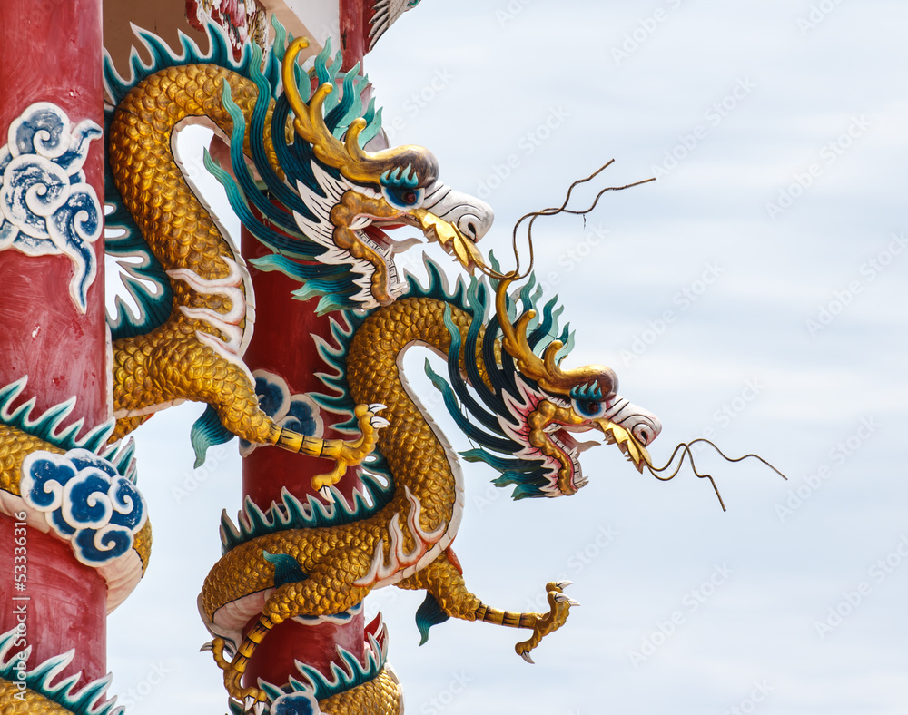Fototapeta premium Dragon