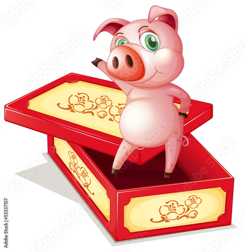 A pig standing inside a box