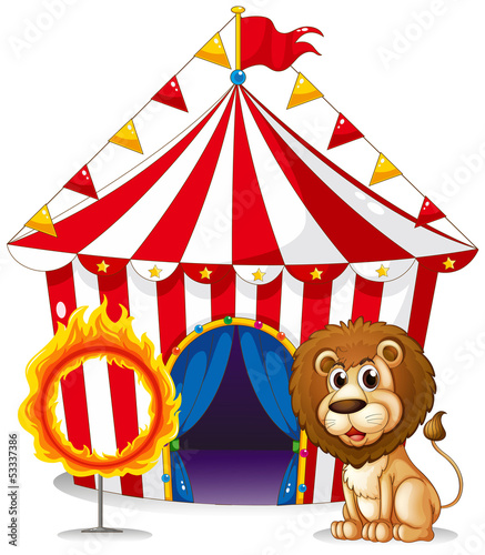 A lion and a ring of fire at the carnival