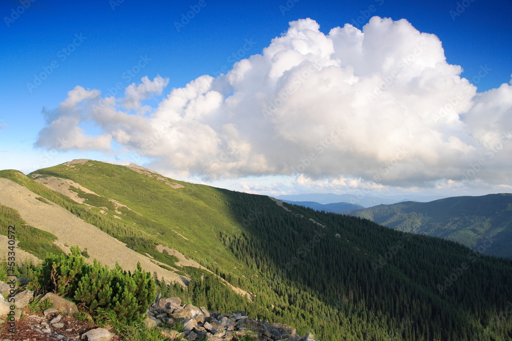 Fototapeta premium Summer Carpathian Mountains
