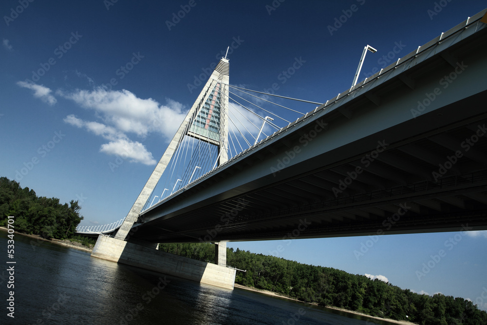 Obraz premium Detail of bridge (Hungary)