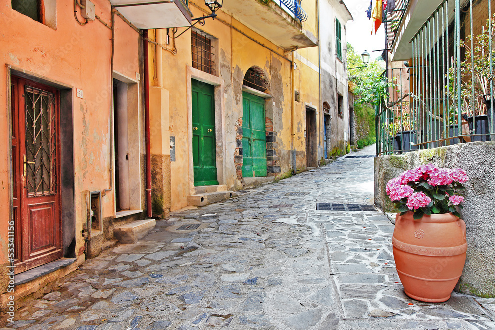 charming mediterranean streets, Cinque terre, Italy
