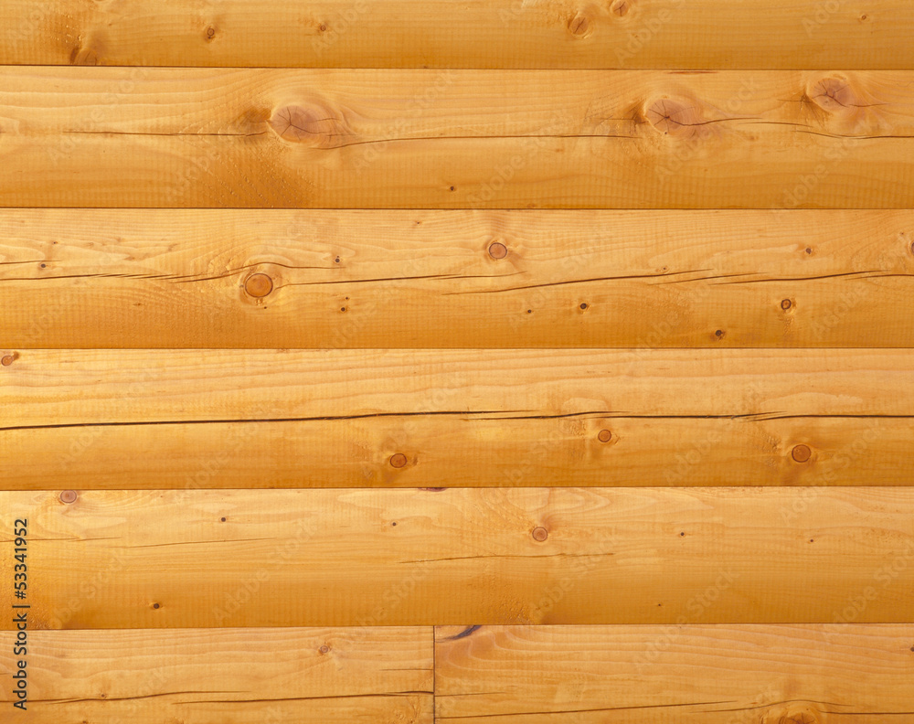 Naklejka premium 木