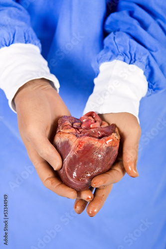 Doctor hold patient heart