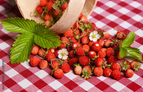 Wild strawberries
