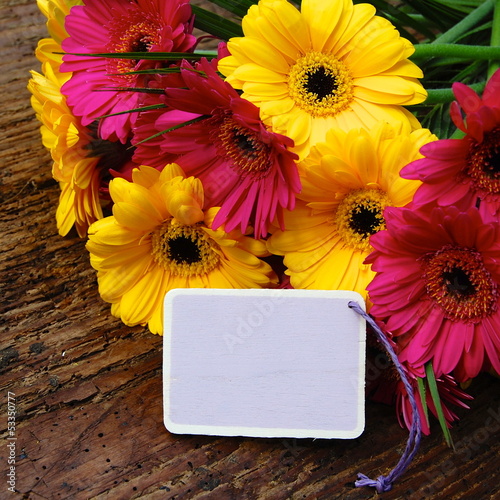 Gerbera in pink und gelb