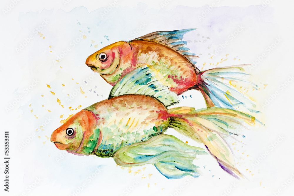 Sad Goldfish Sad Goldfish