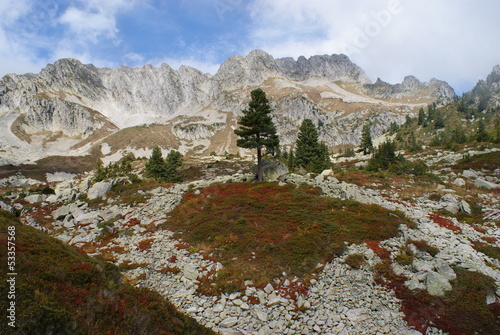 Paysage de montagne en automne