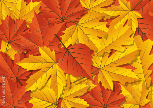 Herbst