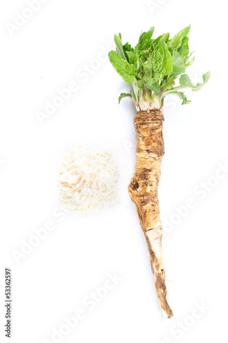 Fototapeta horseradish