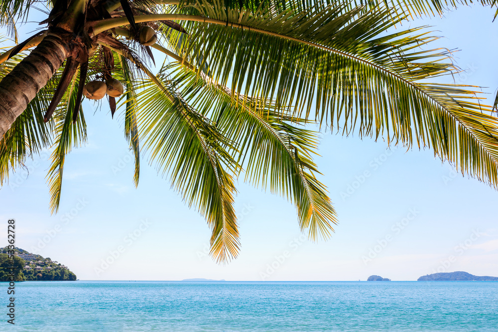 Fototapeta premium Perfect thai beach with a white sand