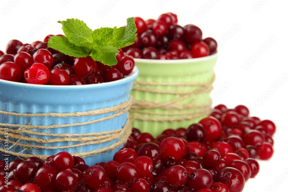 Ripe red cranberries in bowls, isolated on white. Ripe red cranberries in bowls, isolated on white.