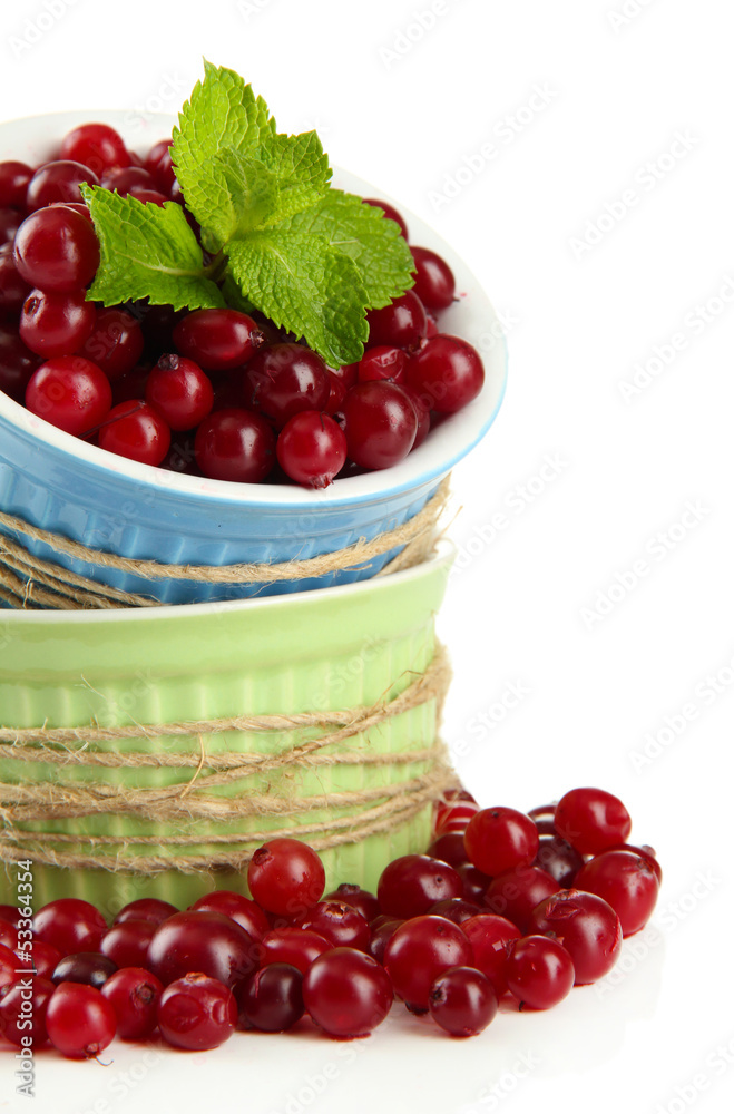 Ripe red cranberries in bowls, isolated on white. Ripe red cranberries in bowls, isolated on white.