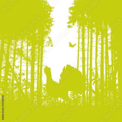 Auerhahn im Wald