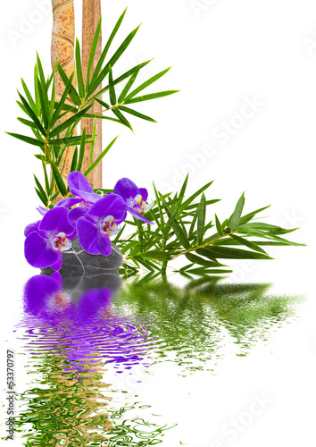 Fototapeta Naklejka Na Ścianę i Meble -  composition tropicale, orchidée, bambou