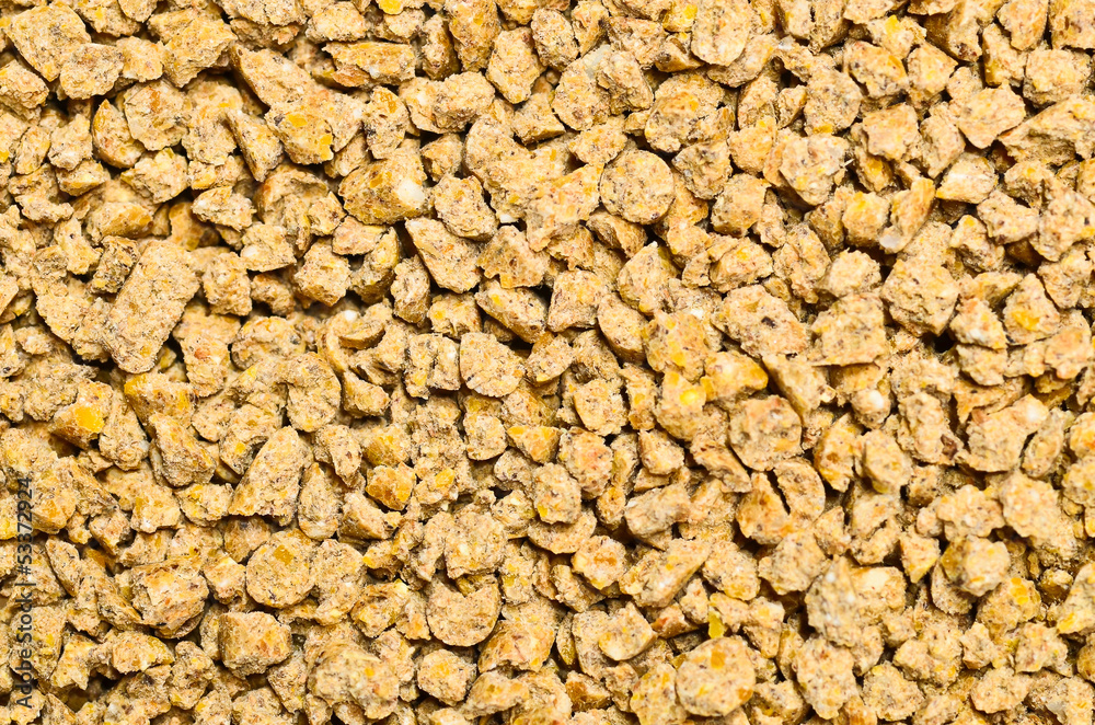 Compound Feed