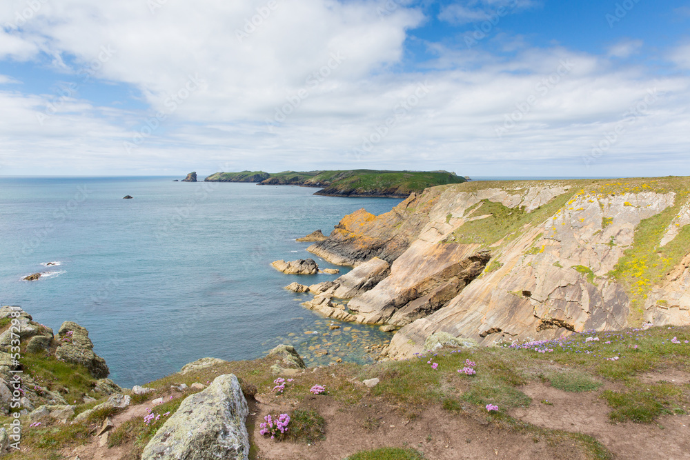 Welsh coastal view to Skomer Pembrokeshire