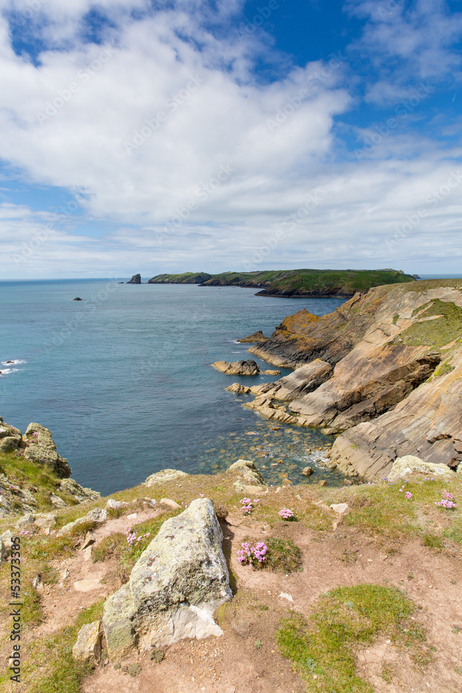 Pembrokeshire coastal view towards Skomer Island Wales Pembrokeshire coastal view towards Skomer Island Wales
