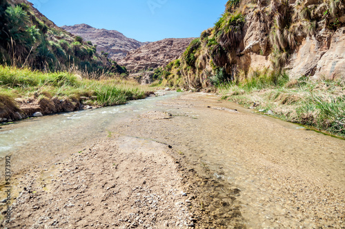 The creek in valley Wadi Hasa in Jordan photo