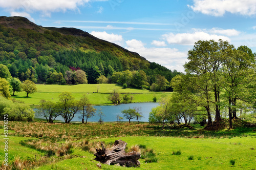 Scenic view of Loughrigg Tarn
