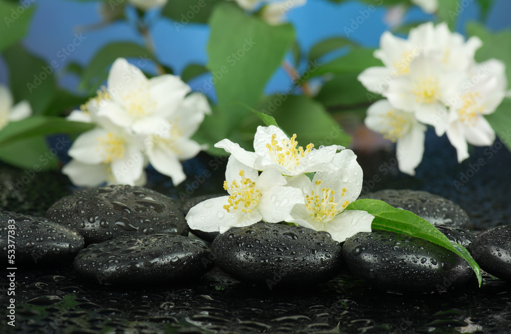 Fototapeta premium Jaśmin z kamieniami do spa
