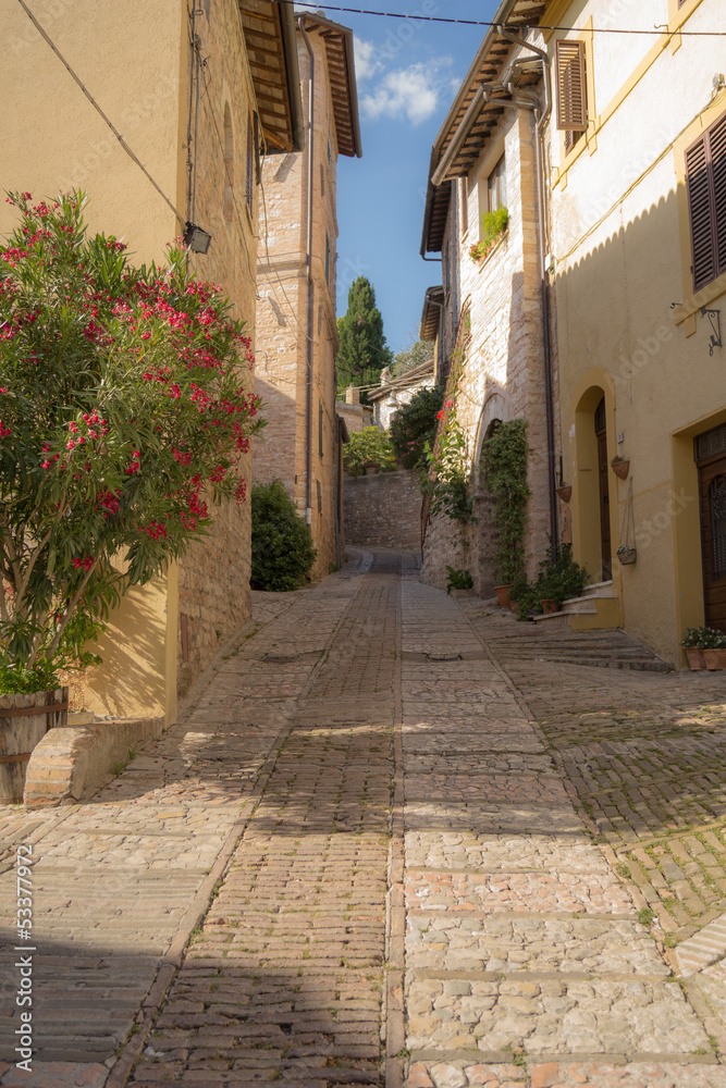 Fototapeta premium Vicolo di Spello