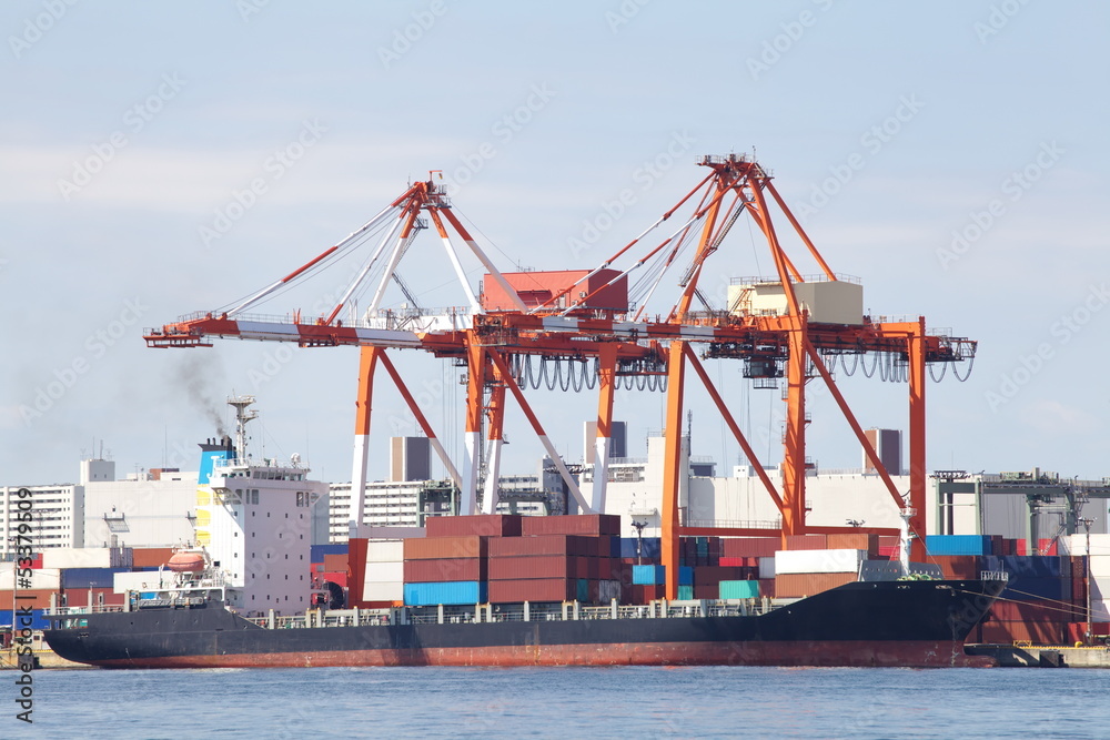 Container ship in the harbor